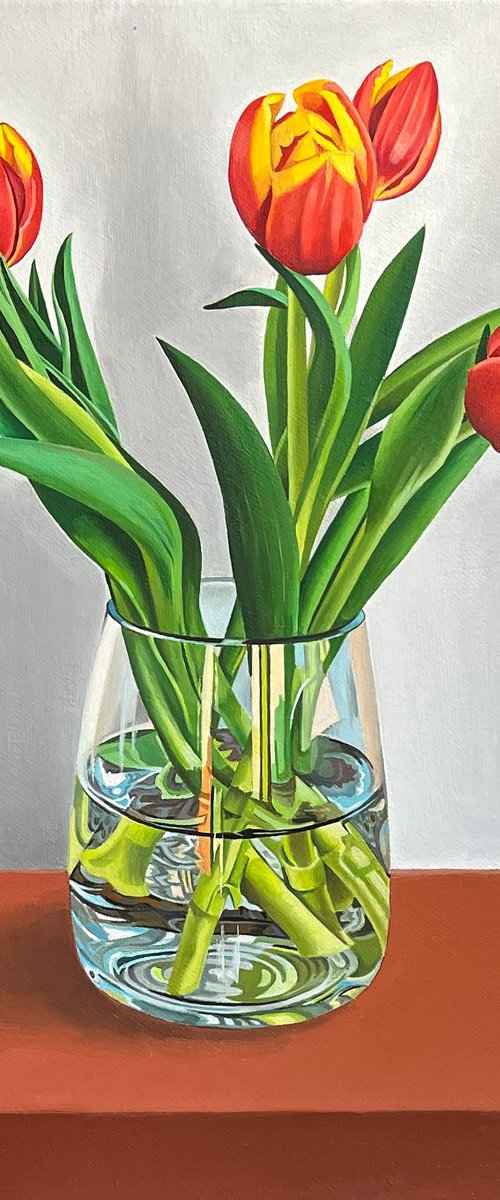 Tulips by Alexander Titorenkov