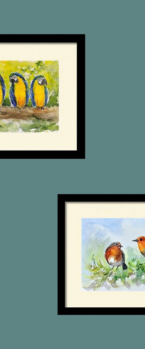 Set of two- Parakeets and Robins by Asha Shenoy