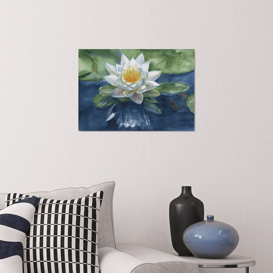 Snowy Water lily White watercolor Blue pond flower
