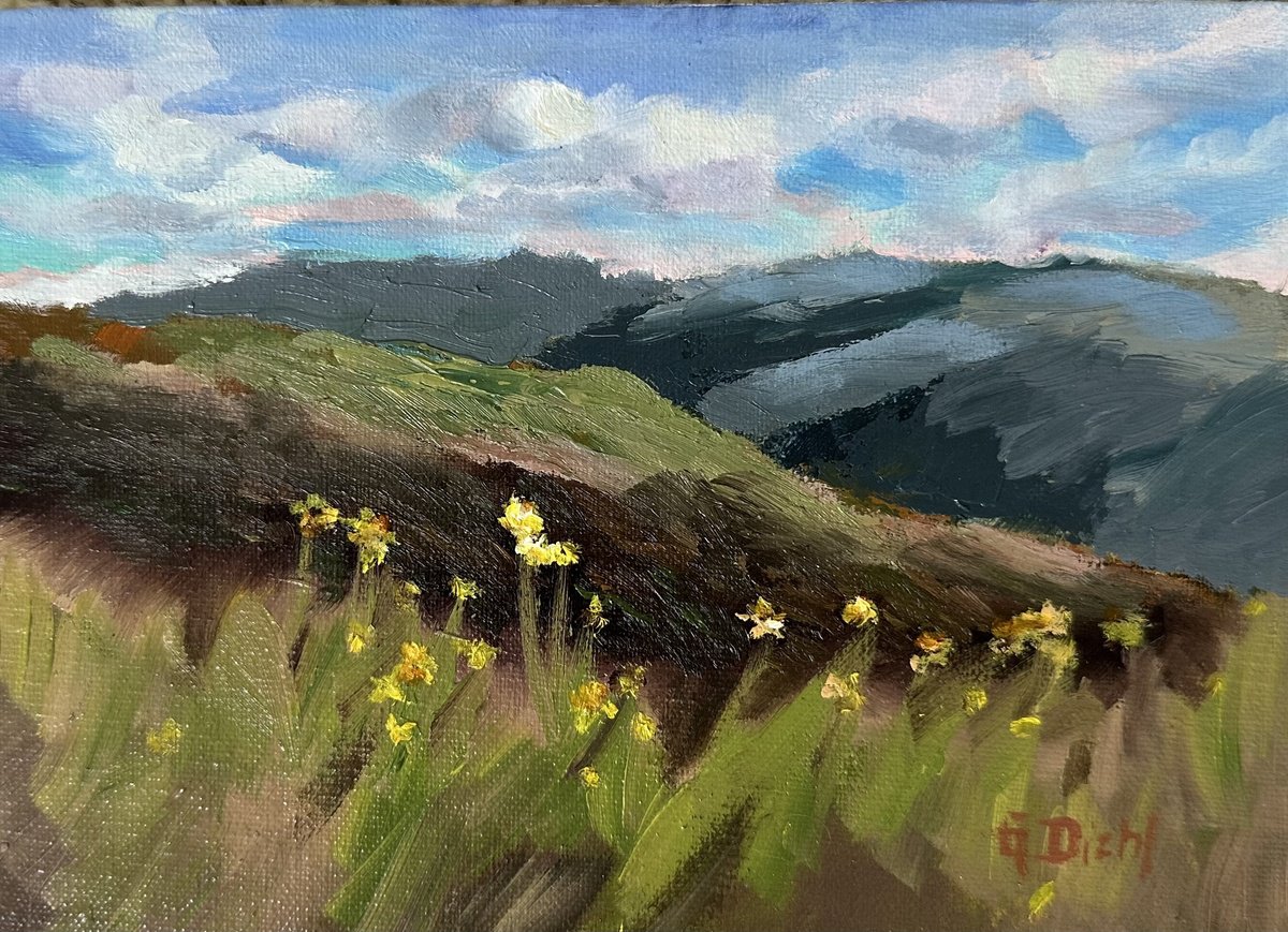 Impressionistic Landscape Oil Painting By Grace Diehl, 7 X 5, Wild Daisies, Original Artwork