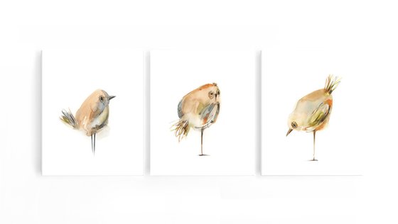 Little birds watercolor painting 3 set