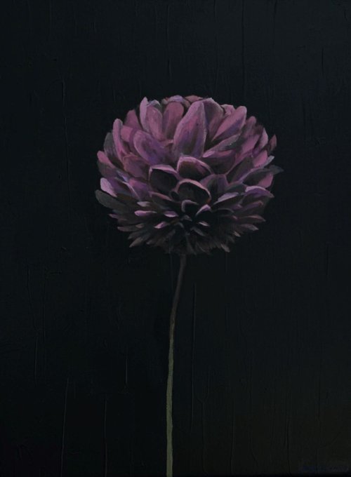 A flower in the dark by Bohdan Vykhrenko