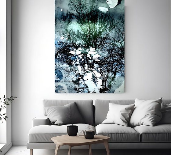 Enchanted Reflection