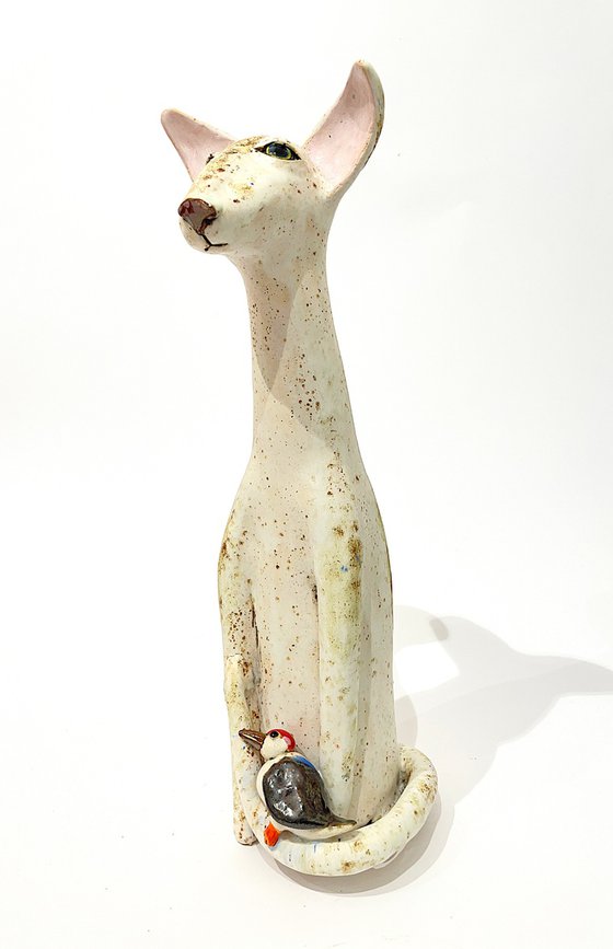 Purrfect Embrace