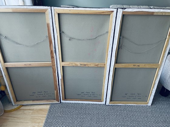 Triptych - Symphony of nature