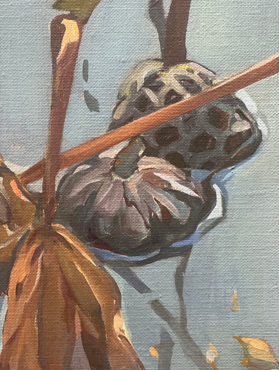 Pond. The Confluence of Realities