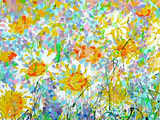 Wild Daisy Meadow 2025