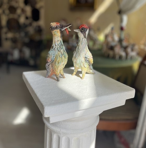Pair of Woodpeckers