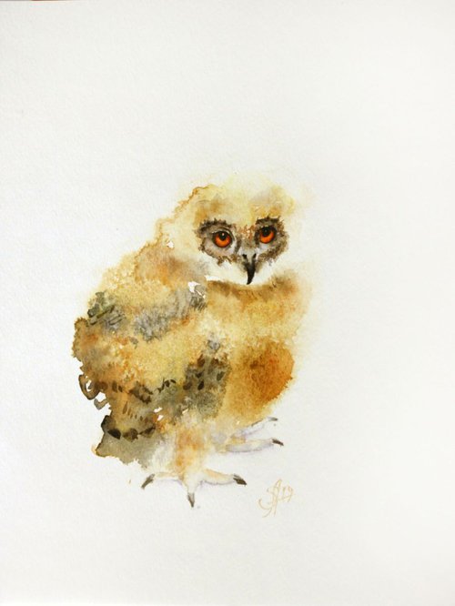 Baby Owl /  ORIGINAL PAINTING by Salana Art Gallery