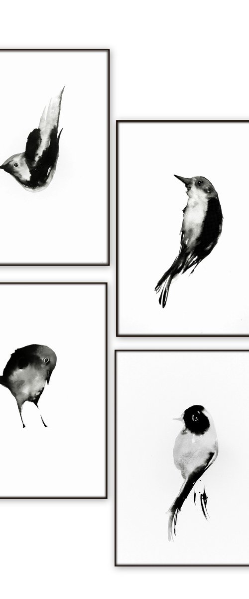 Birds by Nadia Moniatis
