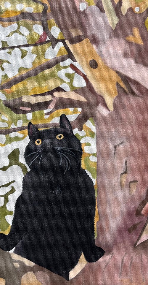 Cat In The Tree by Jill Ann Harper