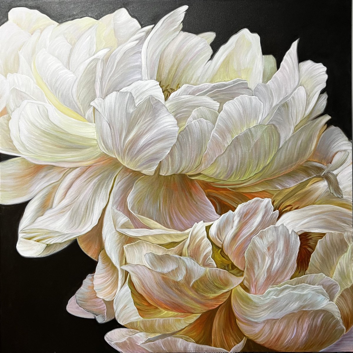 White peonies on a dark brown background. by Elena