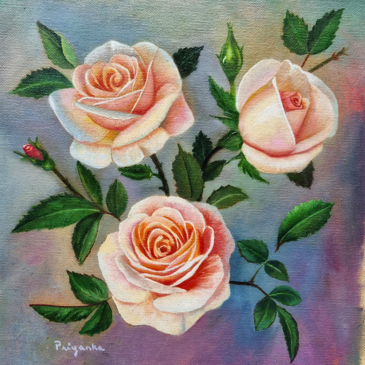 Rose Garden by Priyanka Singh