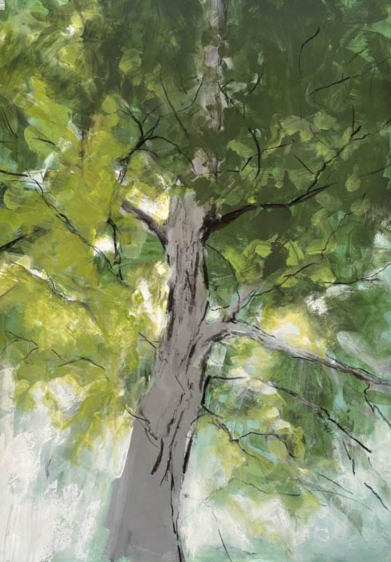 Summer Light