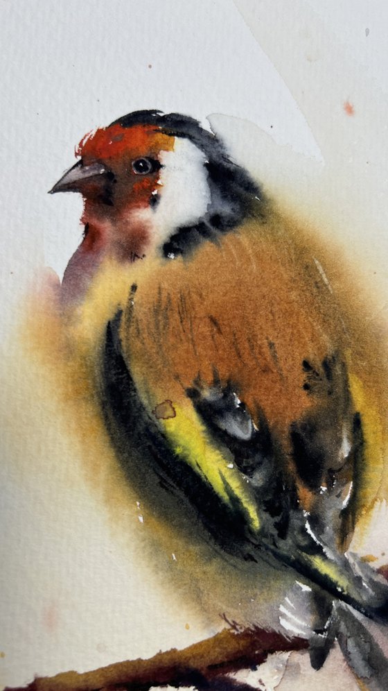 Goldfinch