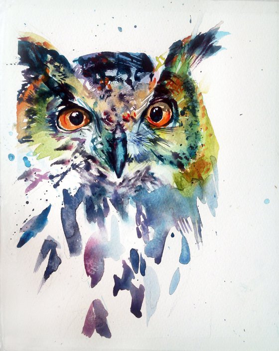 Owl, awareness