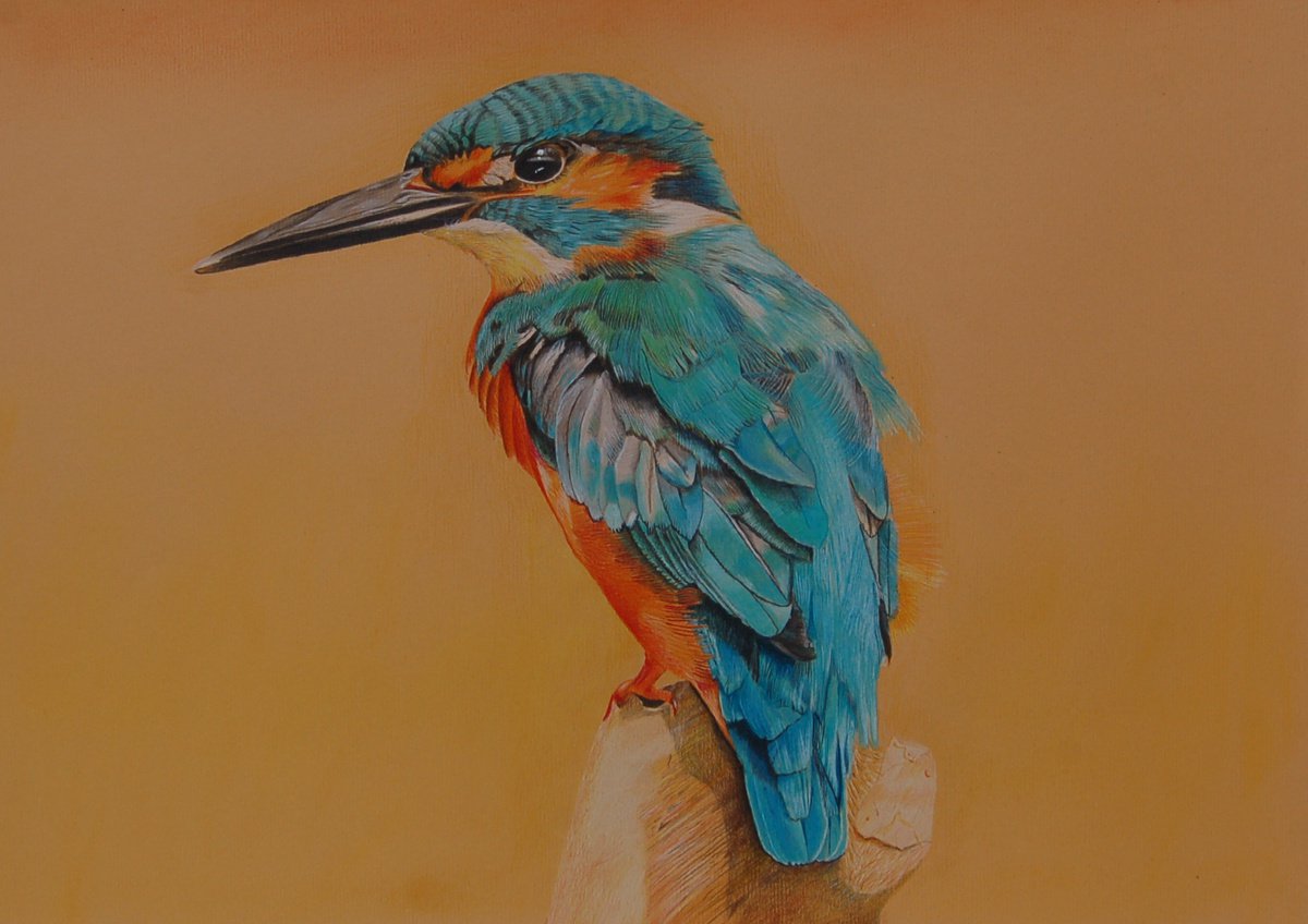 Kingfisher by Benjamin Self