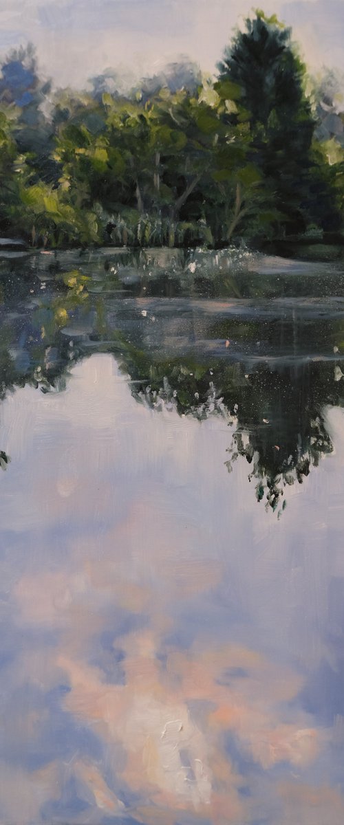 Skies reflection by Kerry Lisa Davies