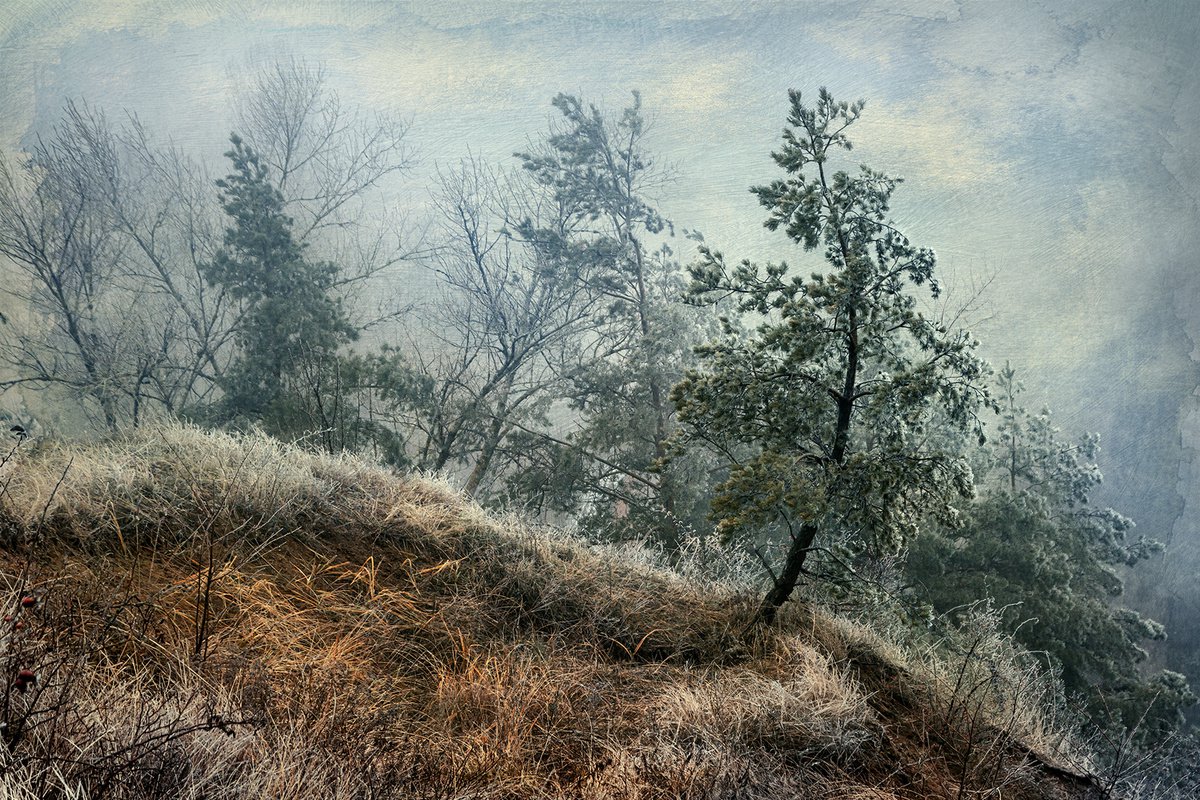 In the mist of autumn. Scene 7 Toward the winter by Valerix