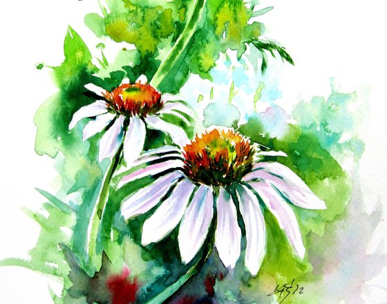 Flowers of summer