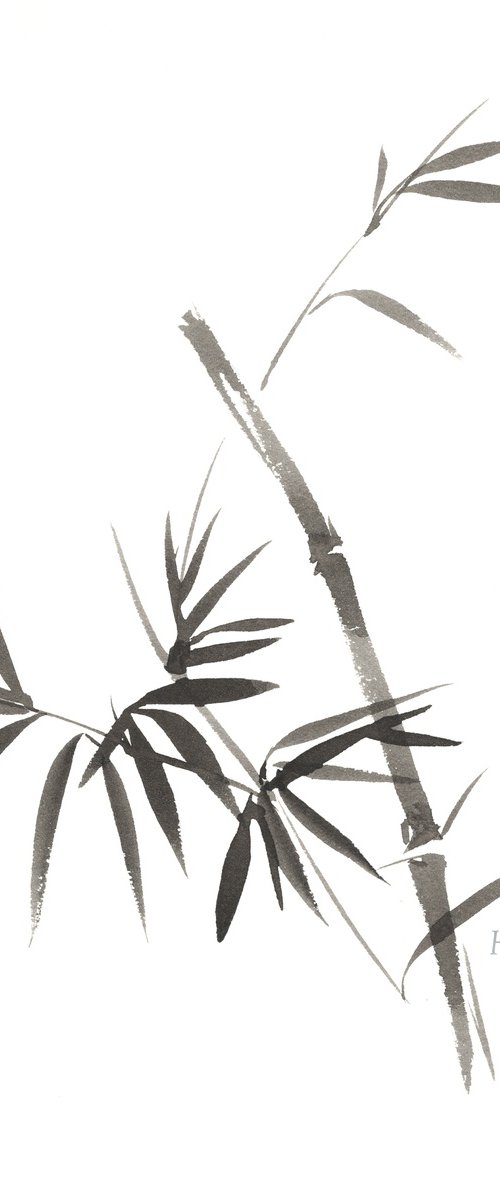 Scholar's Bamboo by Hai Doan