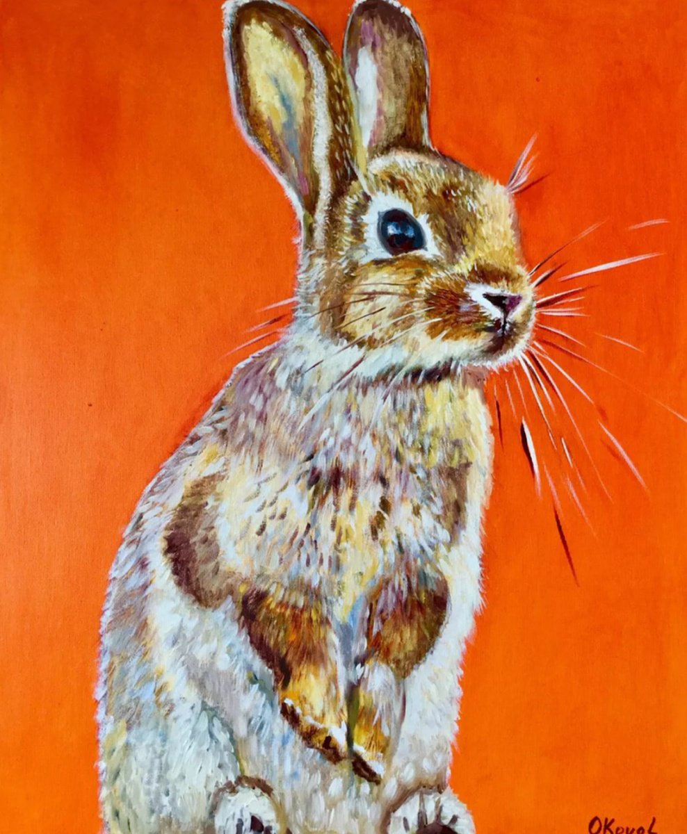 Photorealistic Oil Painting , Rabbit Golden Field By Olga Koval, 20 X 24, Artwork For Sale On Artfinder