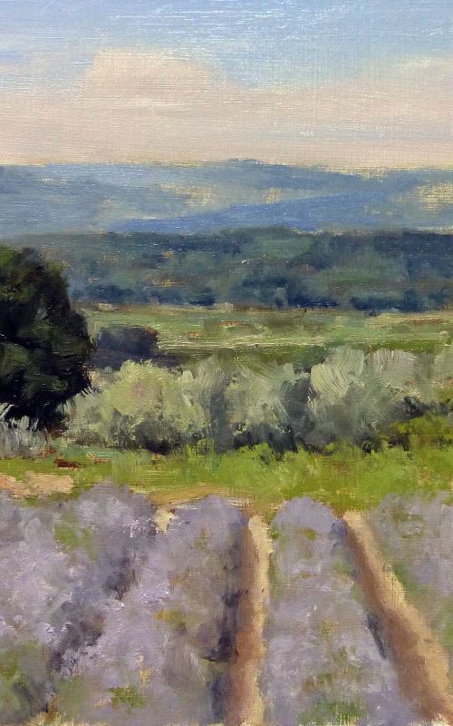 Lavender Field near Valensol by Pascal Giroud