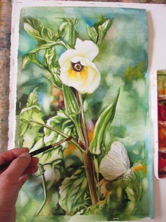 Okra With Cabbage White Butterfly By Alfred Ng Artfinder
