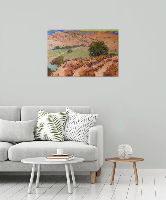 California Foothills. Summer