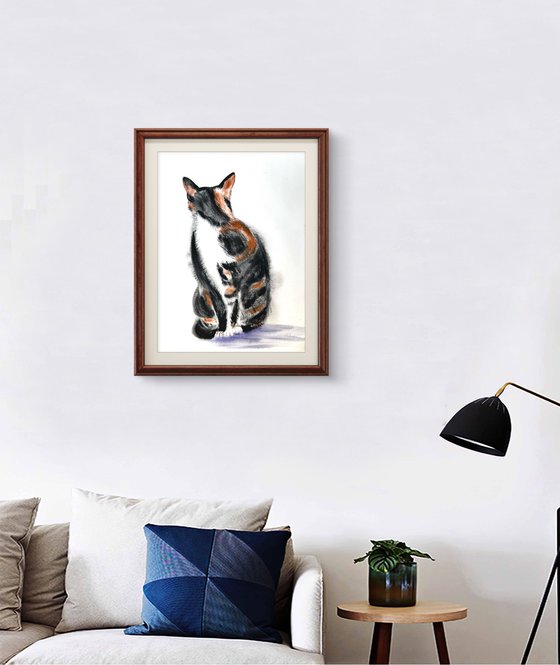 Black White Orange Cat