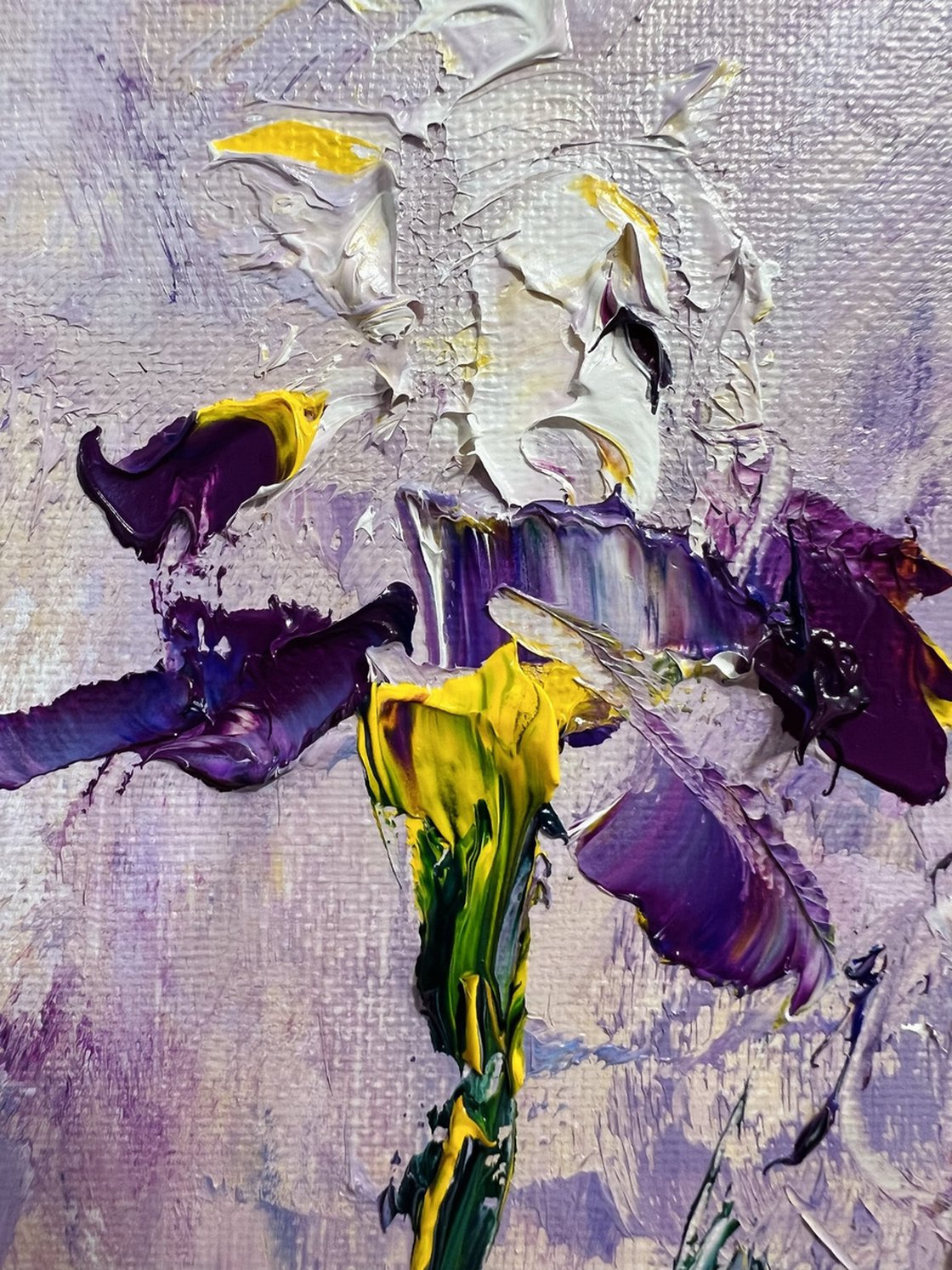 MINI VERY PERI IRIS Mini Purple Iris. Mini Blue iris. Mini Garden