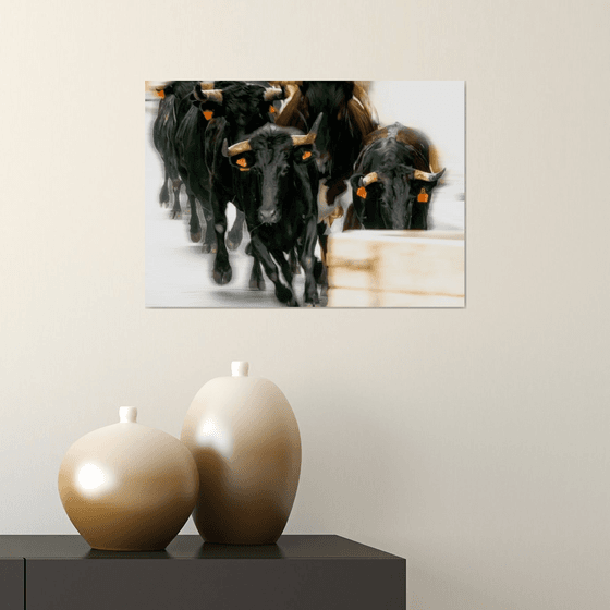 Running Bulls. Limited Edition 2/50 15x10 inch Photographic Print