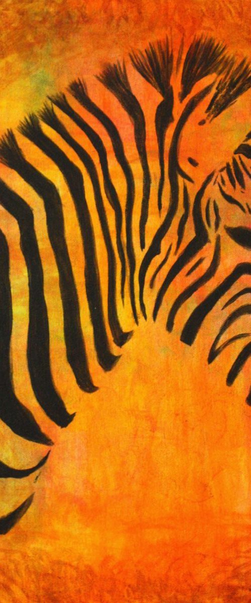 Zebra madness by KIRUBA SEKARAN