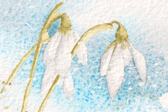 Sapphire Snowdrops