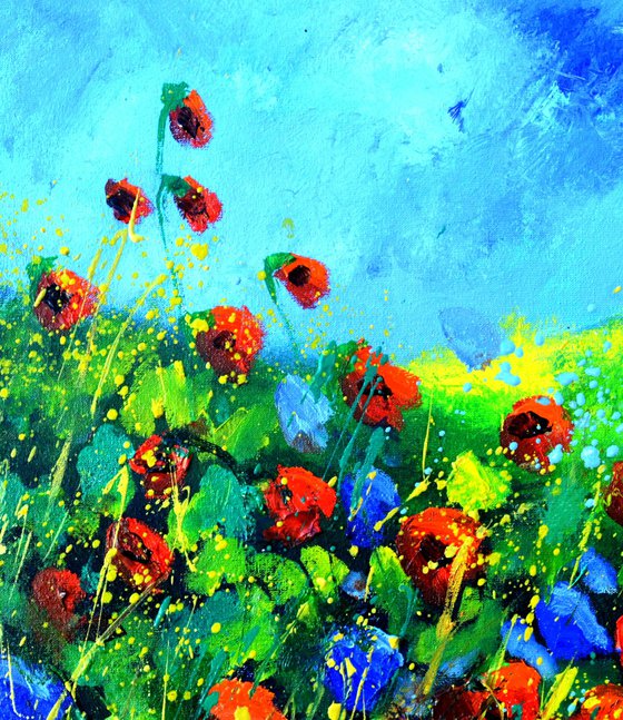 Flowers in Provence 44