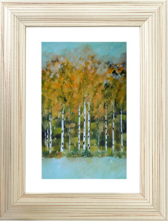 Birch Trees in Autumn