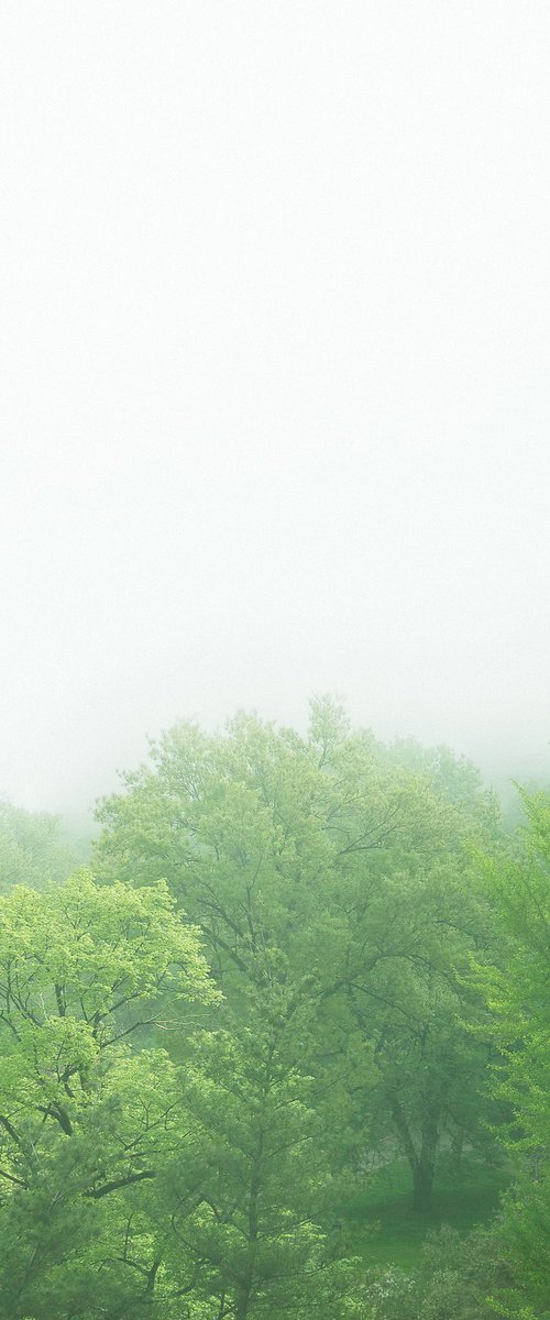 Wild Season by Journey Gong