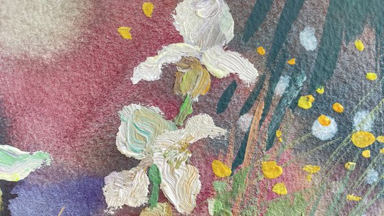 Irises in the garden