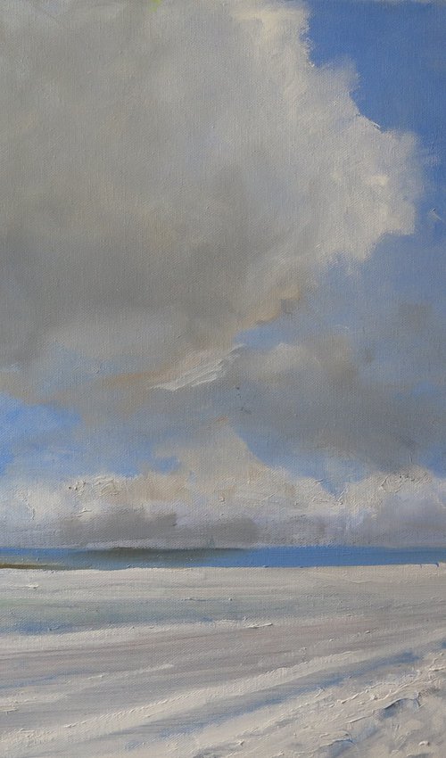 Snow, Jan 8 by Malcolm Ludvigsen