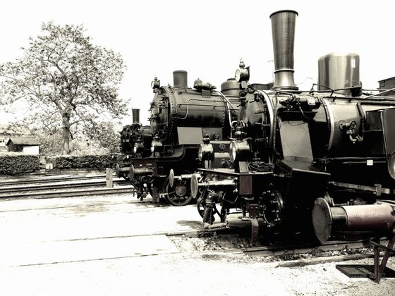 Old steam trains in the depot - print on canvas 60x80x4cm - 08368m2