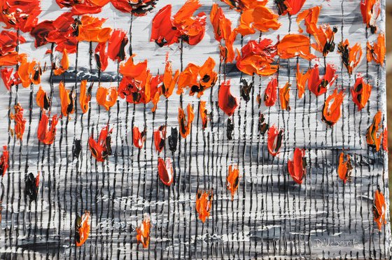 Flora Poppies 2