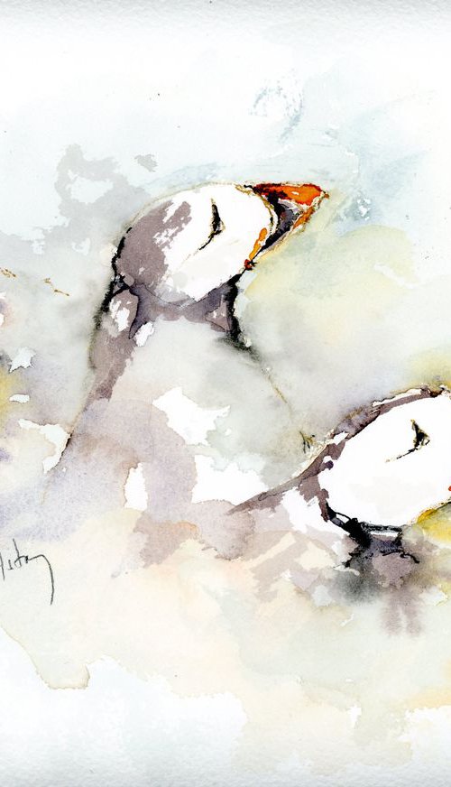 Three Puffins by Alex Tolstoy