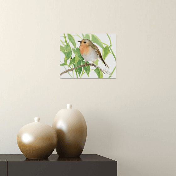 Robin Bird