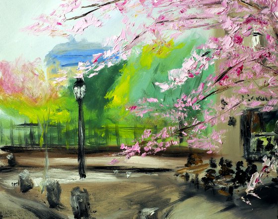 Cherry Blossoms by Shakespeare & Company, Paris