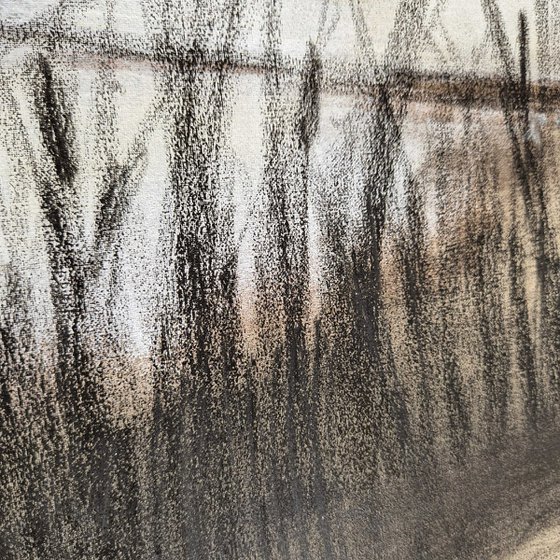 Through the Reeds