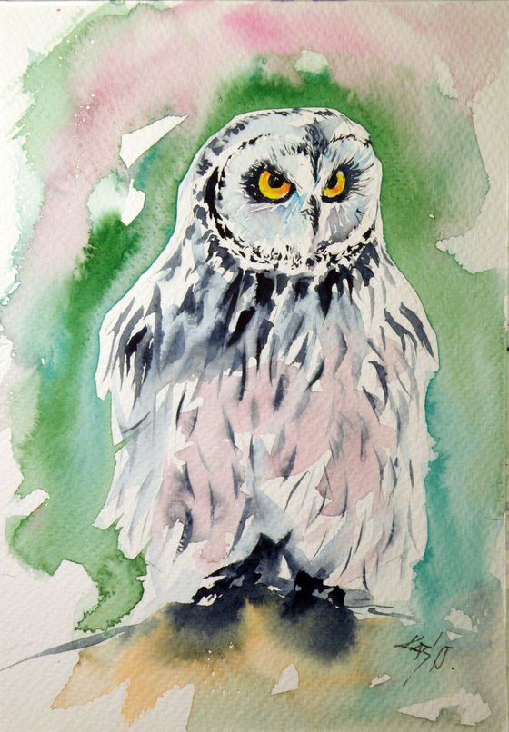 Owl III.