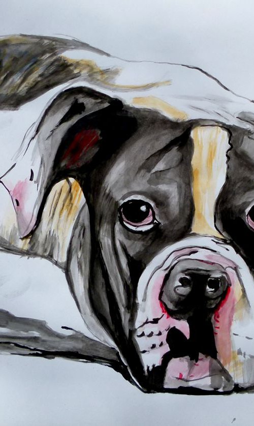 american bulldog by Soso Kumsiashvili