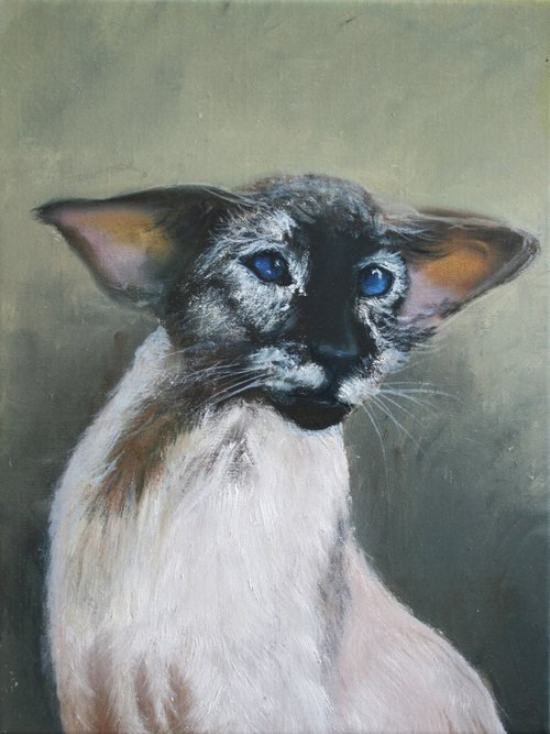 Oriental cat I - Pet portrait /  ORIGINAL PAINTING by Salana Art Gallery