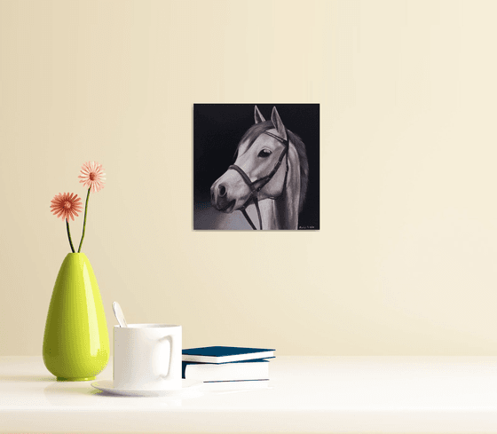 Horse Portrait 71