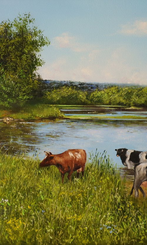 Pastoral Farming, Cows at Watering Place by Natalia Shaykina